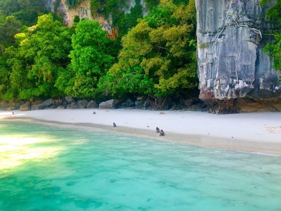 Monkey Beach-2
